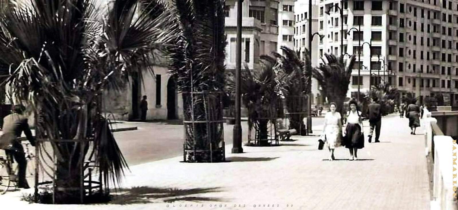2554- Oran - Boulevard Front de Mer3.jpg
